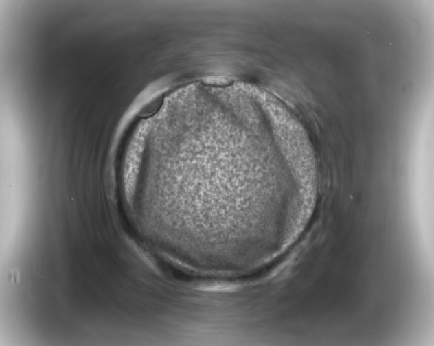 X0000086050198200704091215