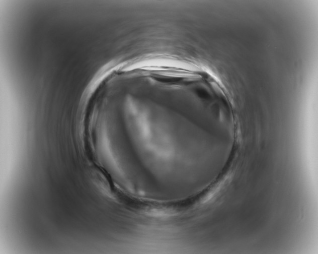 X0000086050199200704091215