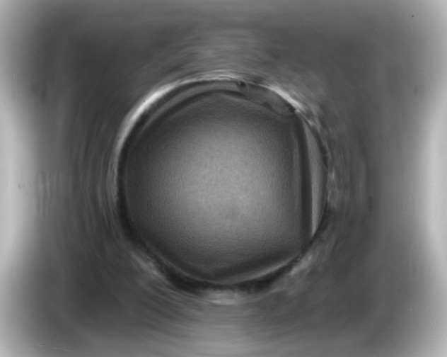 X0000086050200200704091215