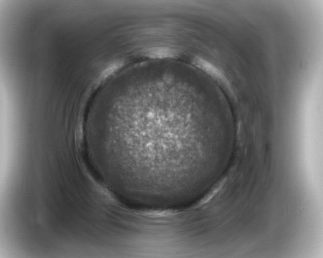 X0000086050202200704091215