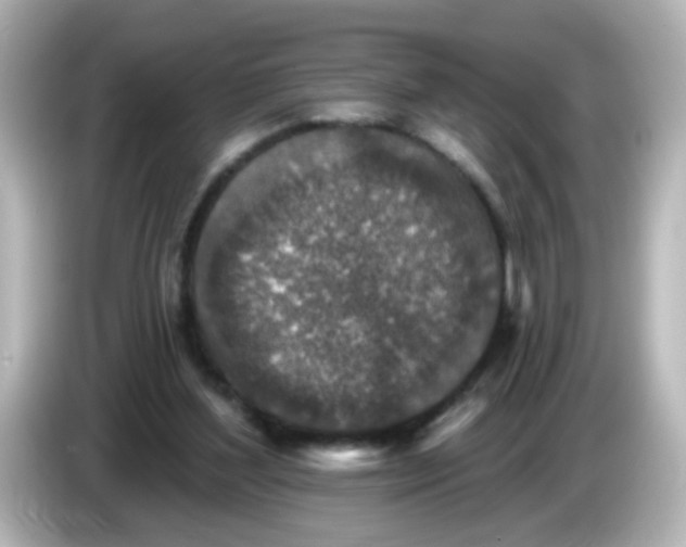 X0000086050204200704091215