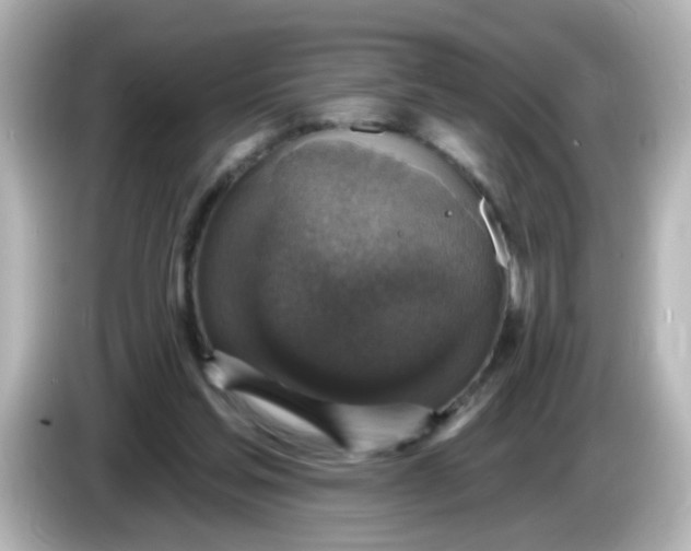 X0000086050205200704091215