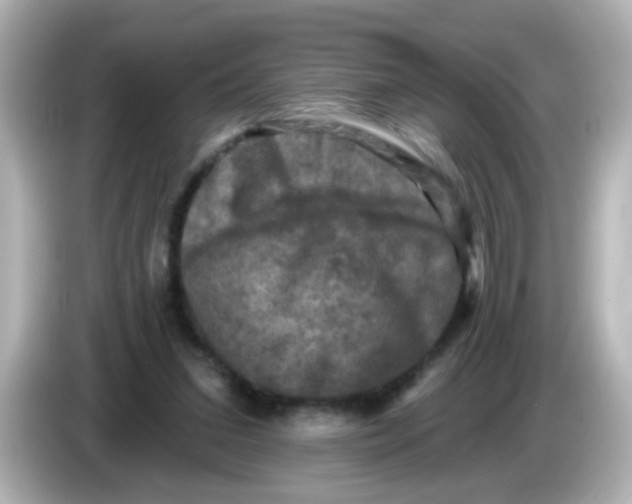 X0000086050207200704091215