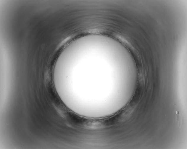 X0000086050208200704091215