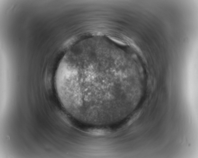X0000086050209200704091215