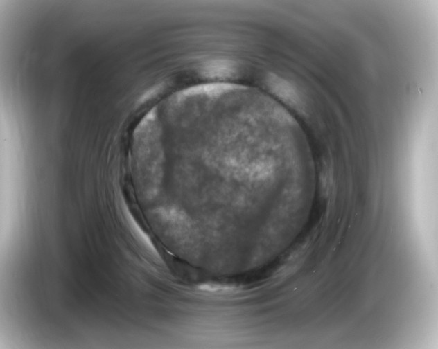 X0000086050211200704091215