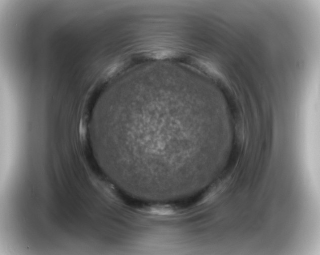 X0000086050214200704091215