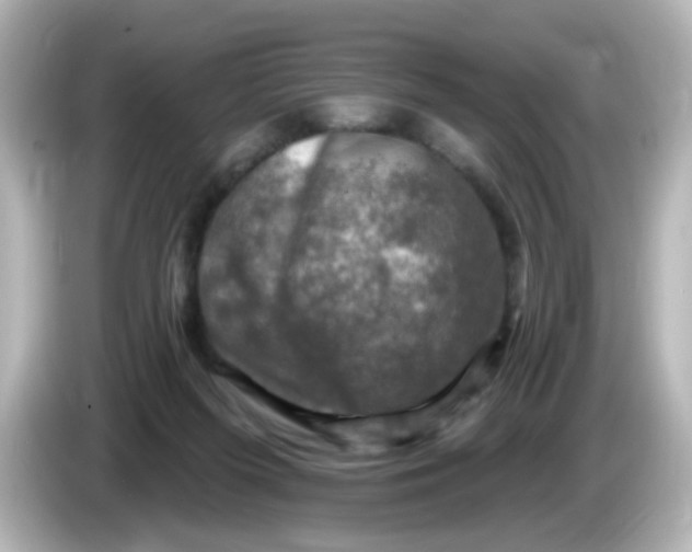 X0000086050215200704091215