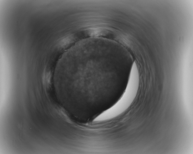 X0000086050219200704091215
