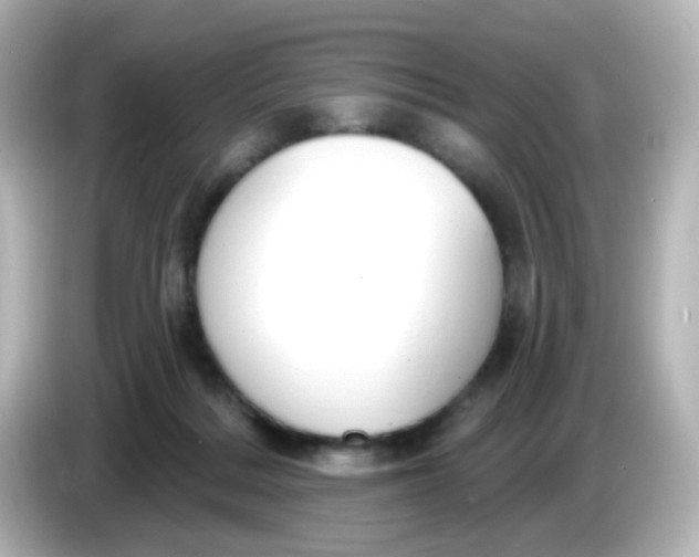 X0000086050220200704091215