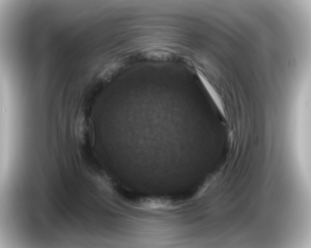X0000086050223200704091215