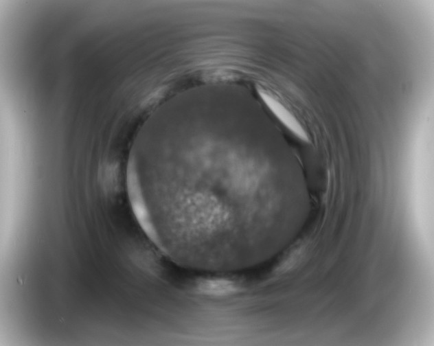 X0000086050224200704091215