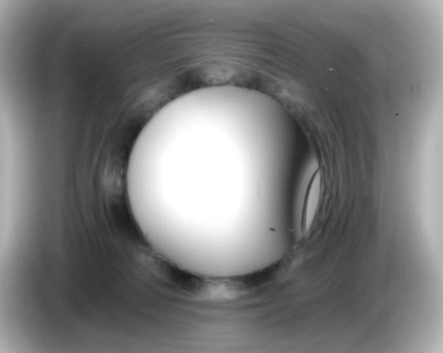 X0000086050226200704091215