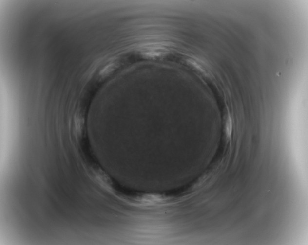 X0000086050227200704091215