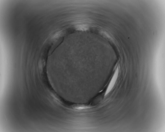 X0000086050229200704091215