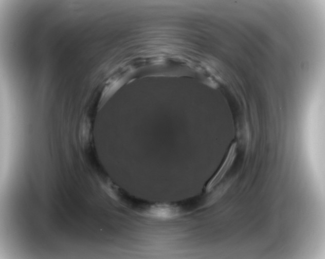 X0000086050231200704091215
