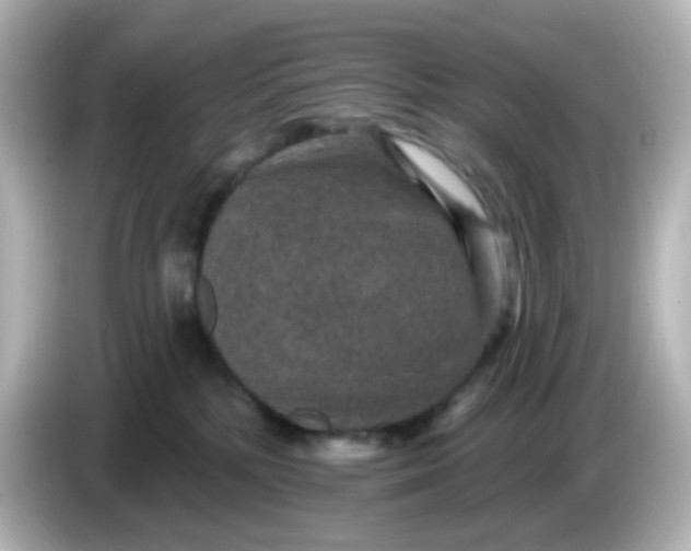 X0000086050232200704091215