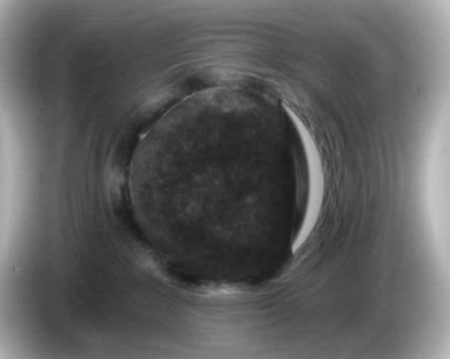 X0000086050235200704091215