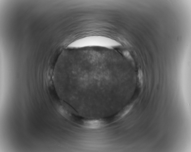 X0000086050237200704091215
