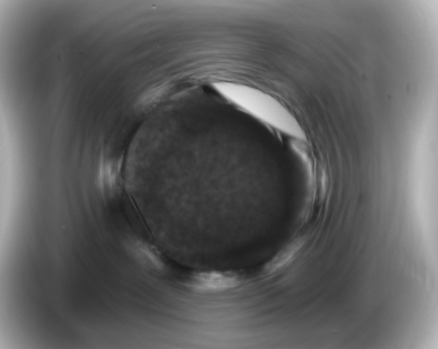 X0000086050239200704091215