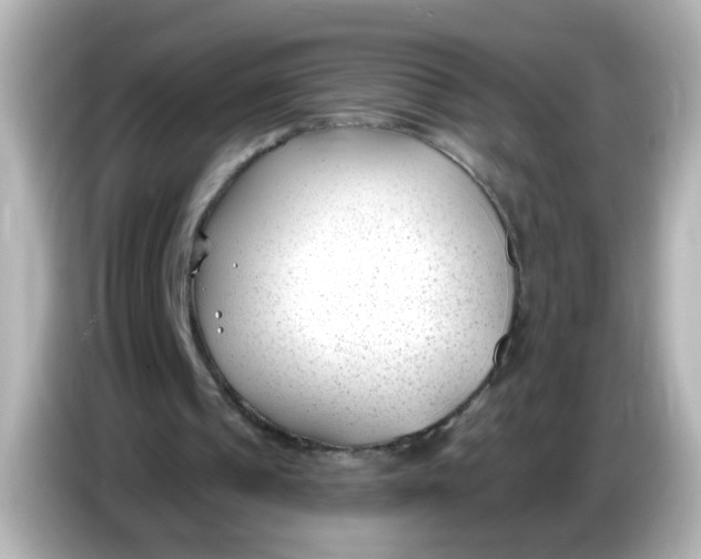 X0000086050241200704091214