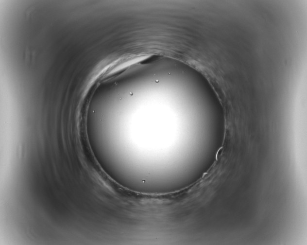 X0000086050242200704091214