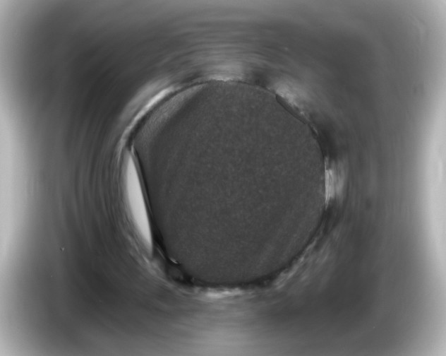 X0000086050243200704091214