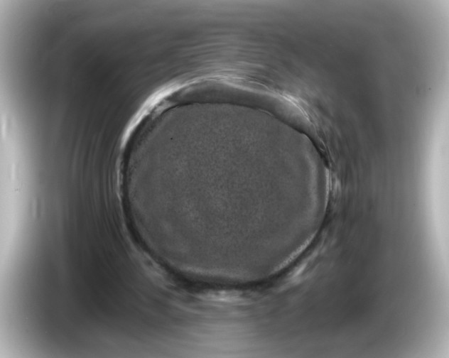 X0000086050244200704091214