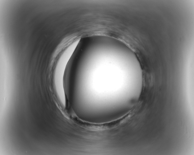 X0000086050245200704091214