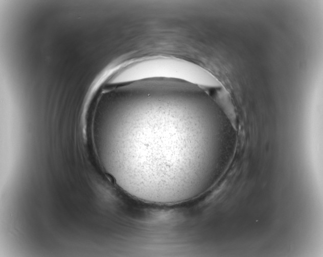 X0000086050246200704091215