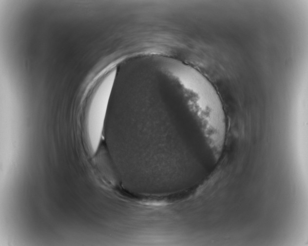 X0000086050247200704091215