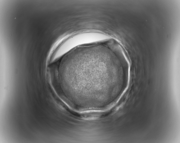X0000086050248200704091215