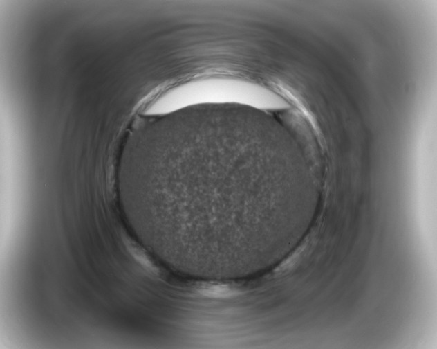 X0000086050249200704091215