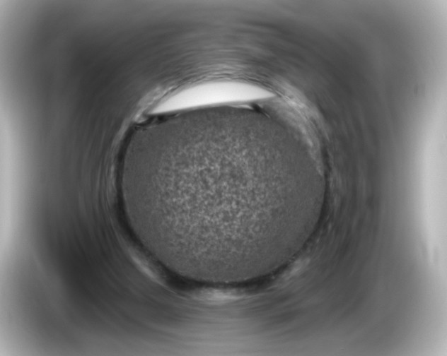 X0000086050250200704091215