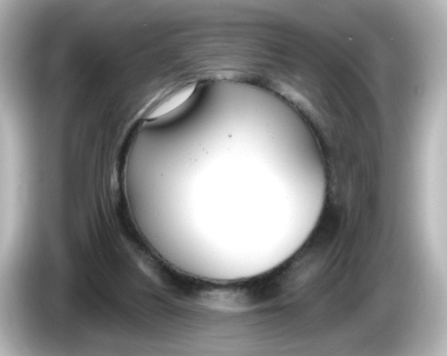 X0000086050251200704091215