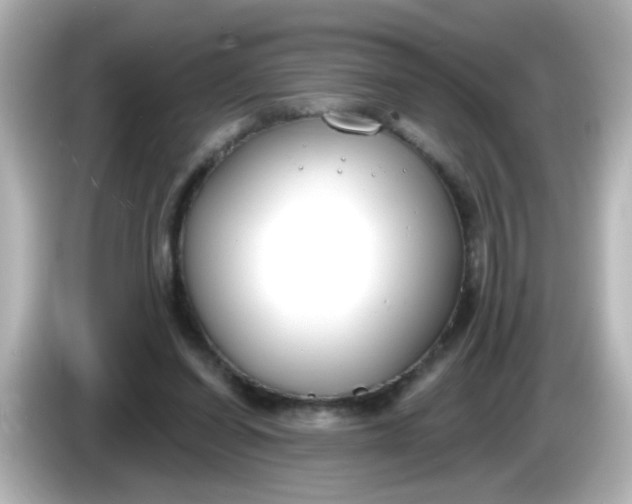 X0000086050254200704091215