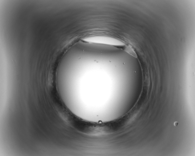 X0000086050255200704091215