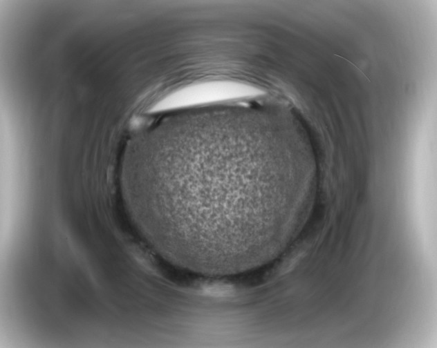 X0000086050258200704091215