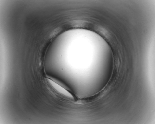 X0000086050261200704091215