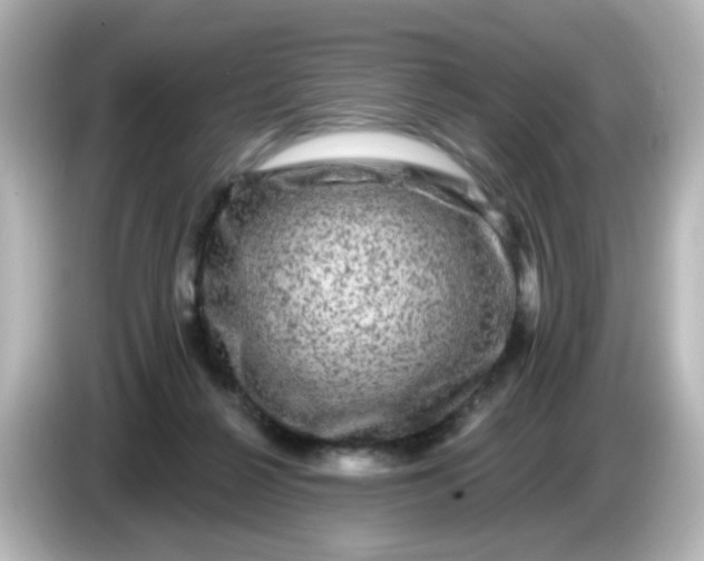 X0000086050264200704091215