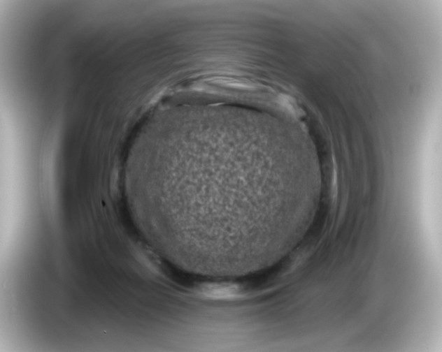 X0000086050266200704091215