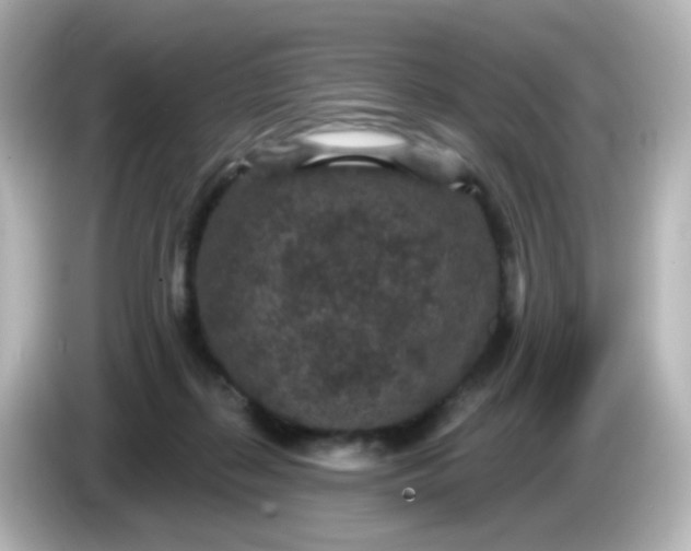 X0000086050267200704091215