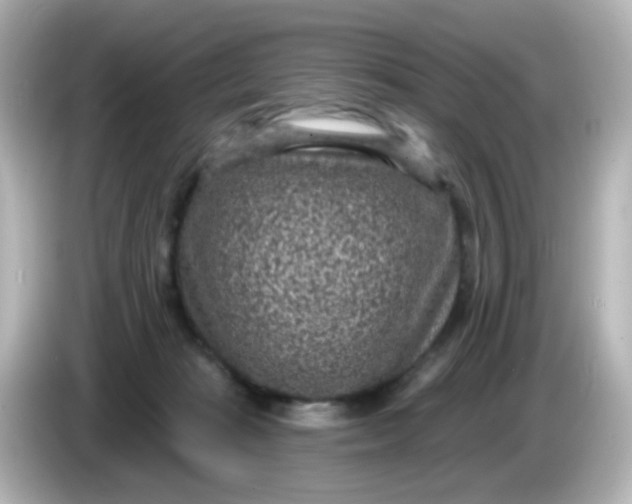 X0000086050269200704091215