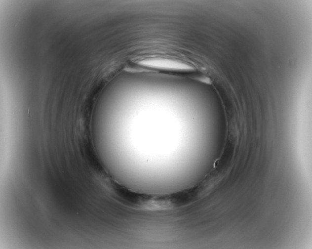 X0000086050270200704091215