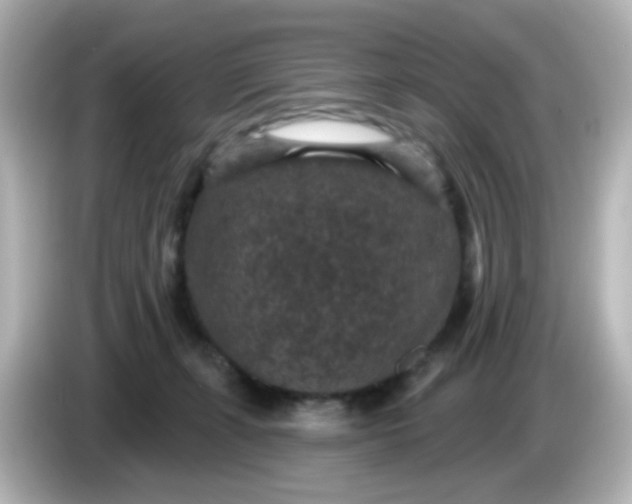 X0000086050271200704091215