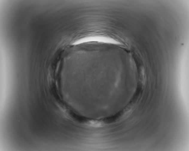 X0000086050272200704091215