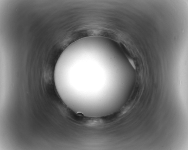 X0000086050274200704091215