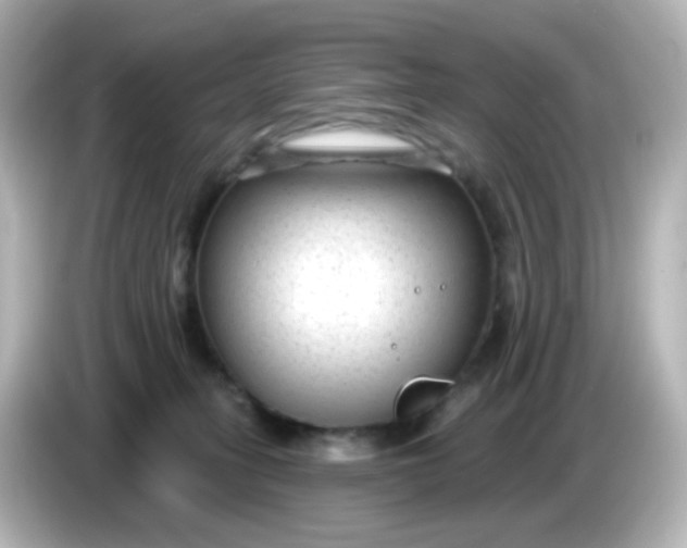 X0000086050275200704091215