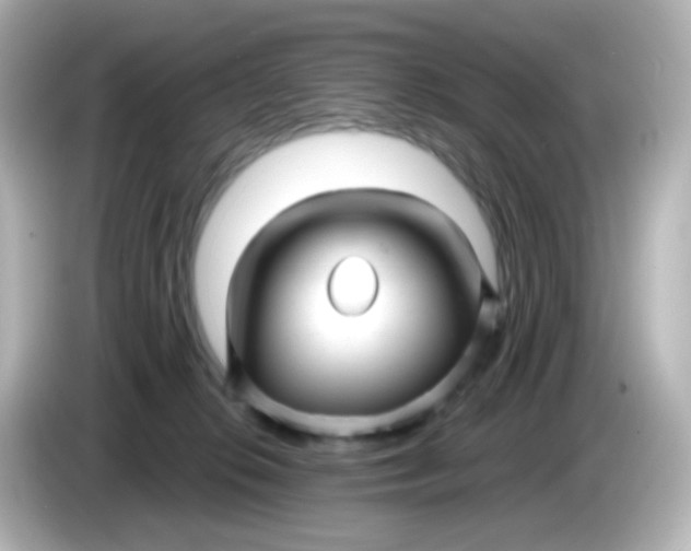 X0000086050276200704091215