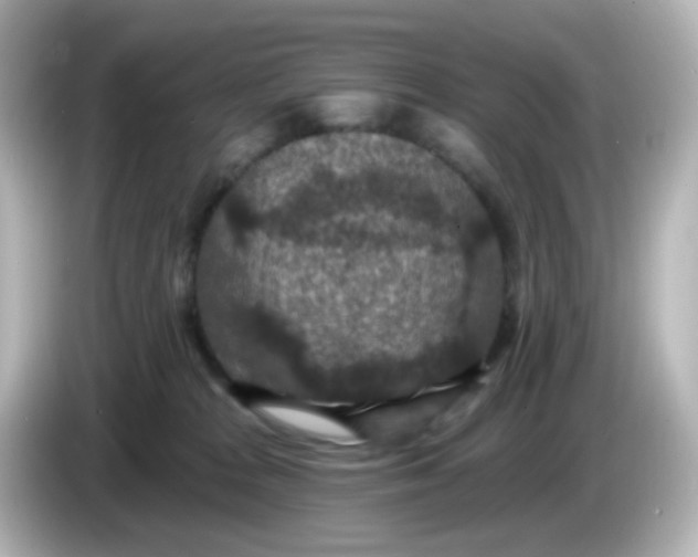 X0000086050277200704091215